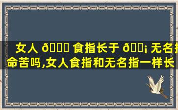 女人 🐟 食指长于 🐡 无名指命苦吗,女人食指和无名指一样长代表什么意思